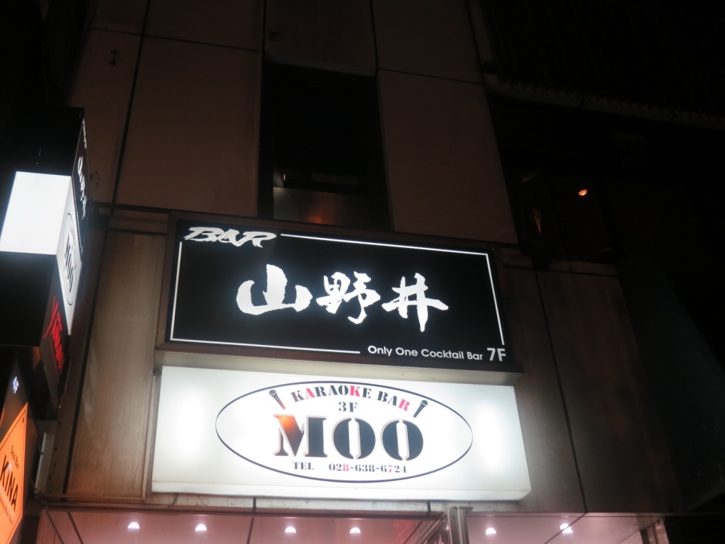 山野井